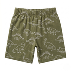 Dino Buddy Summer Short Set for Kids