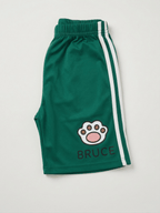 Bruce Cat
