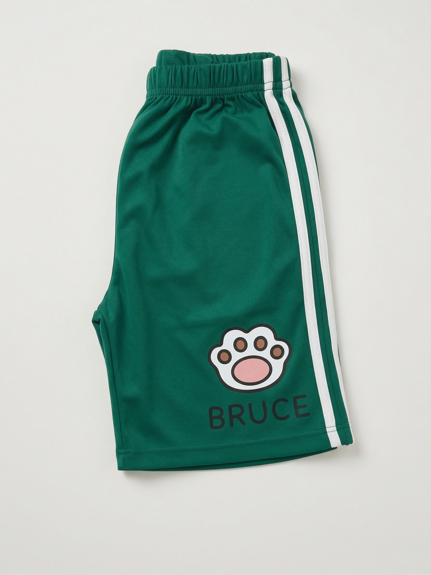 Bruce Cat