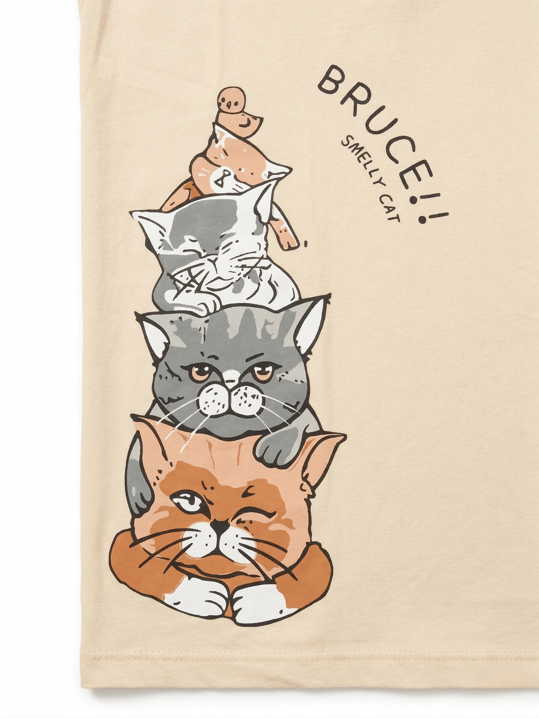Bruce Cat